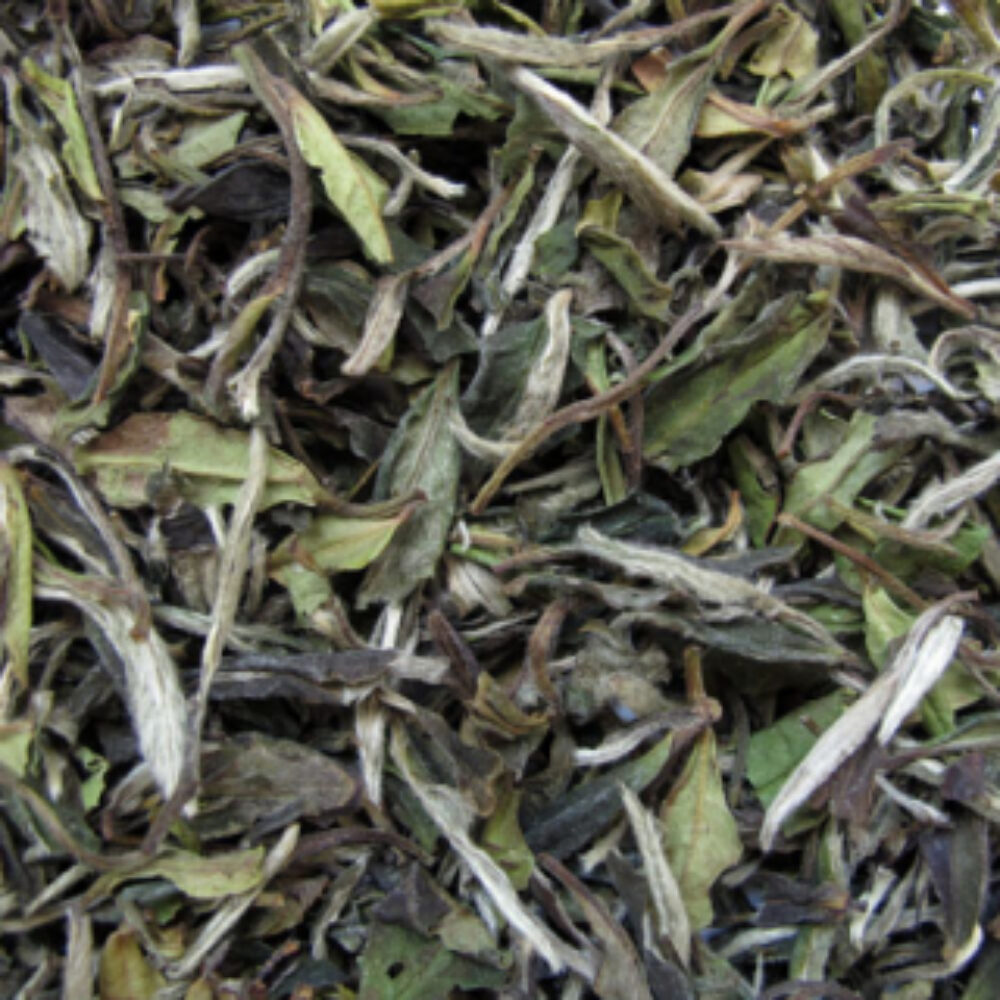 Fujian Pai Mu Tan - Biela pivonka, sypaný biely čaj 30g